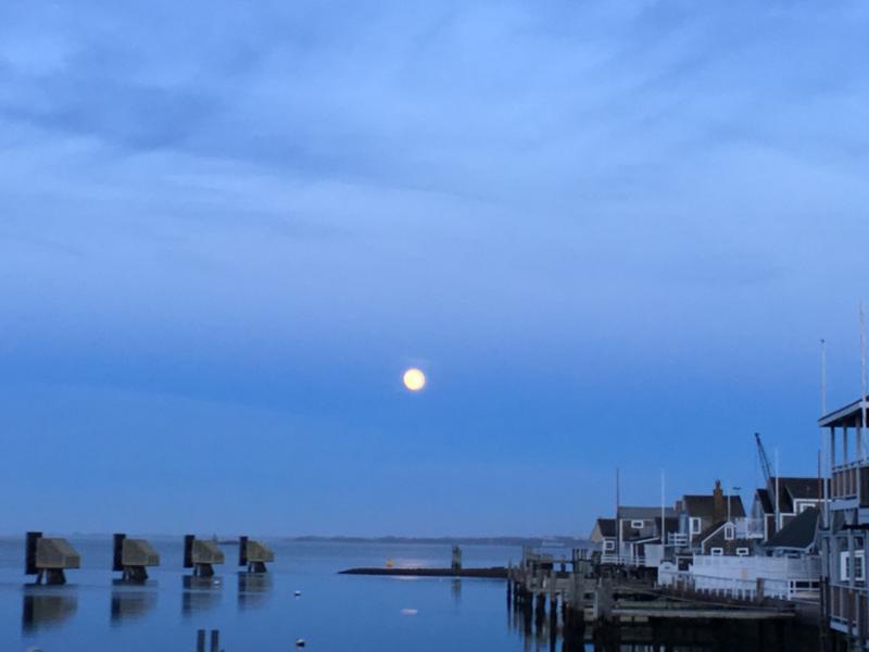 Town — harbor at dusk