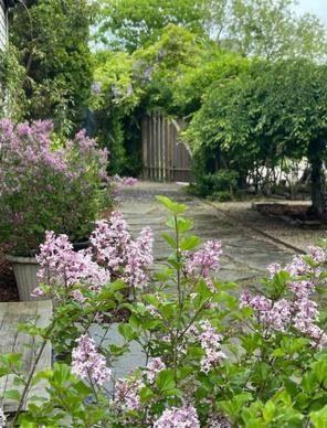 263 Polpis Road photo 46