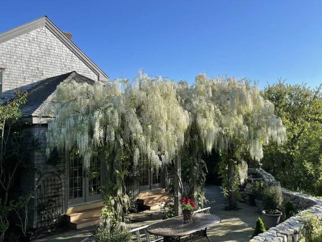 263 Polpis Road photo 44