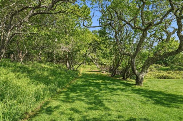 268 Polpis Road photo 5