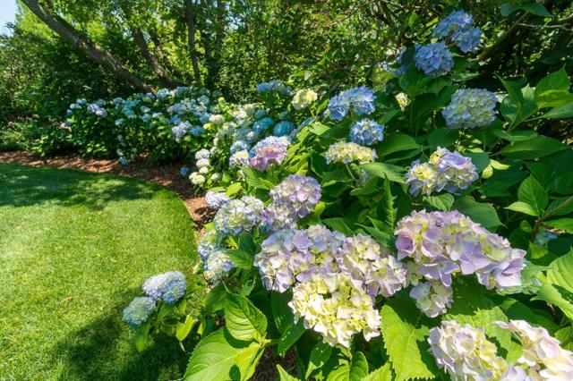 8 Monomoy Road photo 71