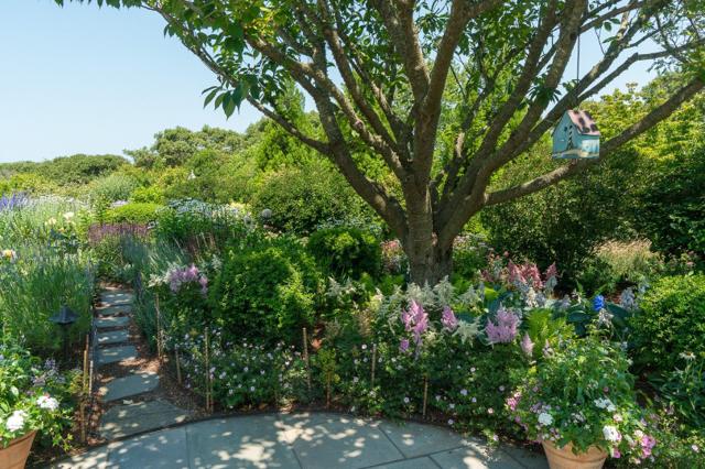 8 Monomoy Road photo 53