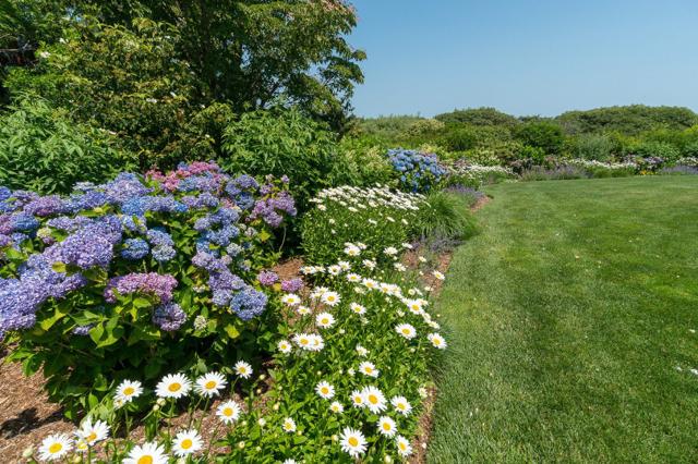 8 Monomoy Road photo 74