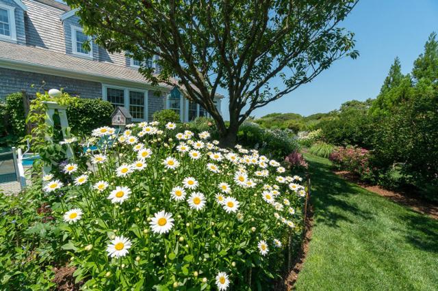8 Monomoy Road photo 54