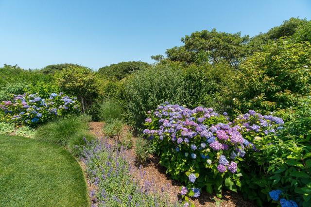 8 Monomoy Road photo 69