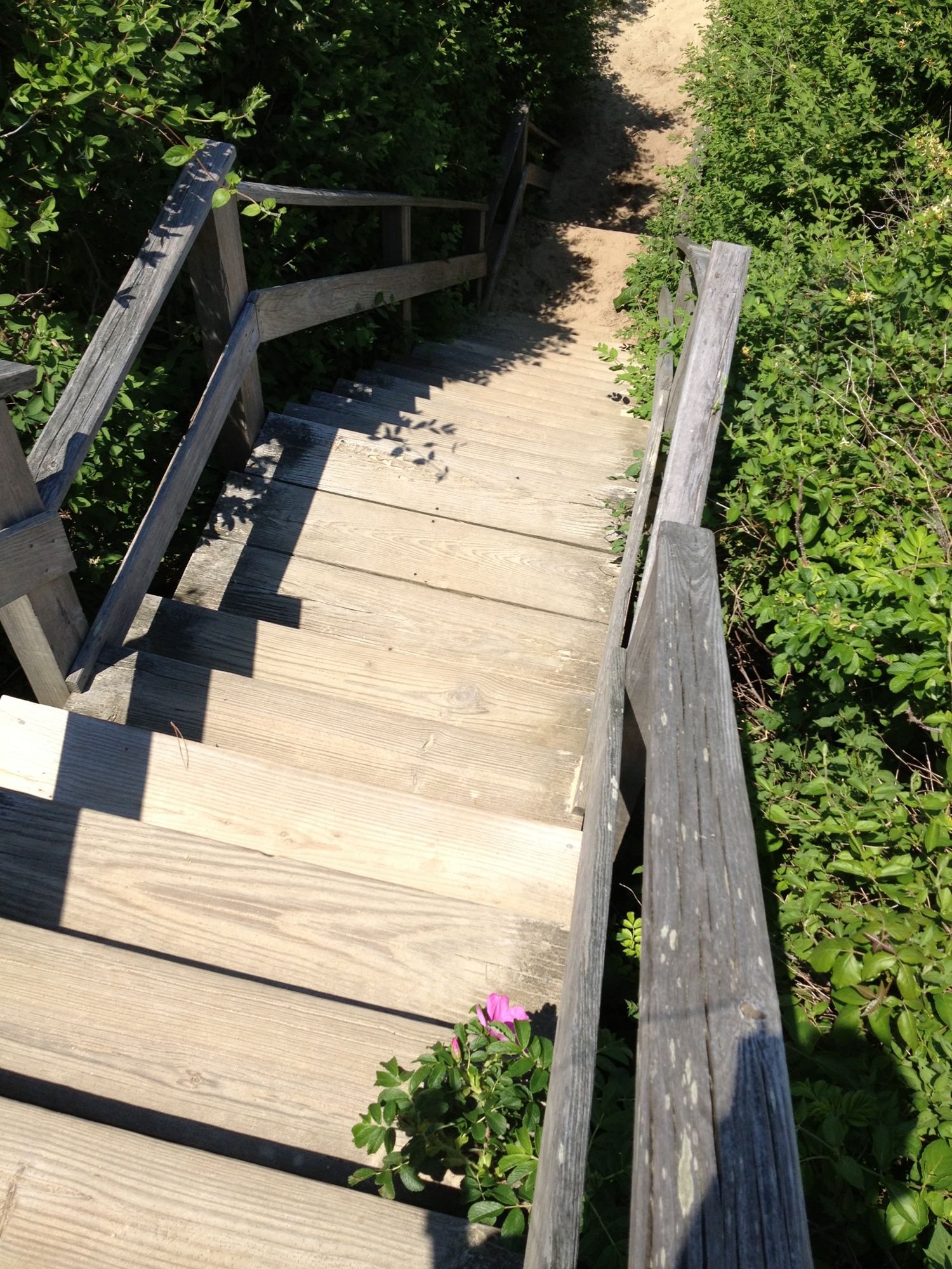 Sconset — path to the beach